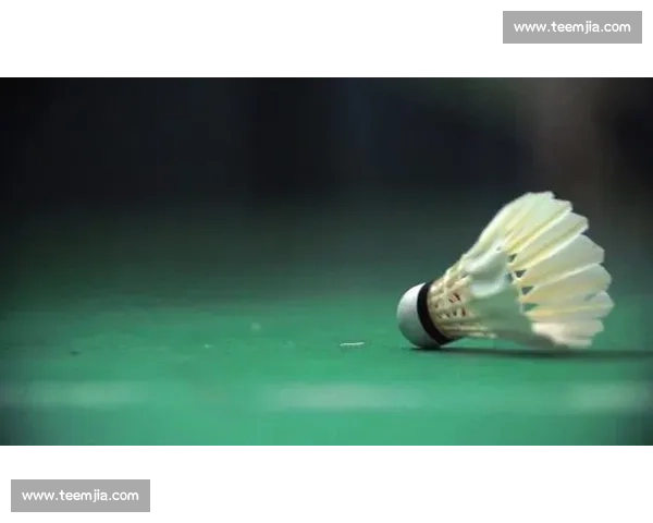 慢镜头抓不住的扣杀：时速 493 公里有多快？